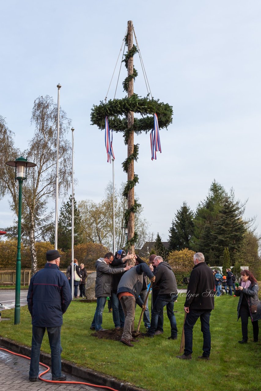 Bild 45 - Maibaum